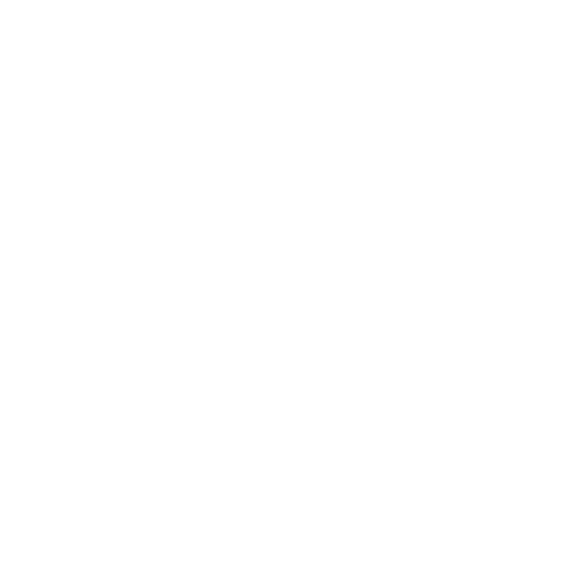 Disco Rebellion
– Counterfeit Cowgirl